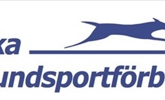 Draghundsportsforbundet
